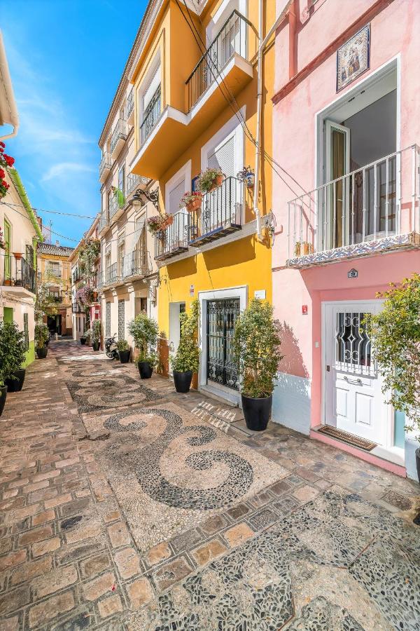Urban Rose , Superb private House in historical center, with sunny rooftop - B&B Málaga