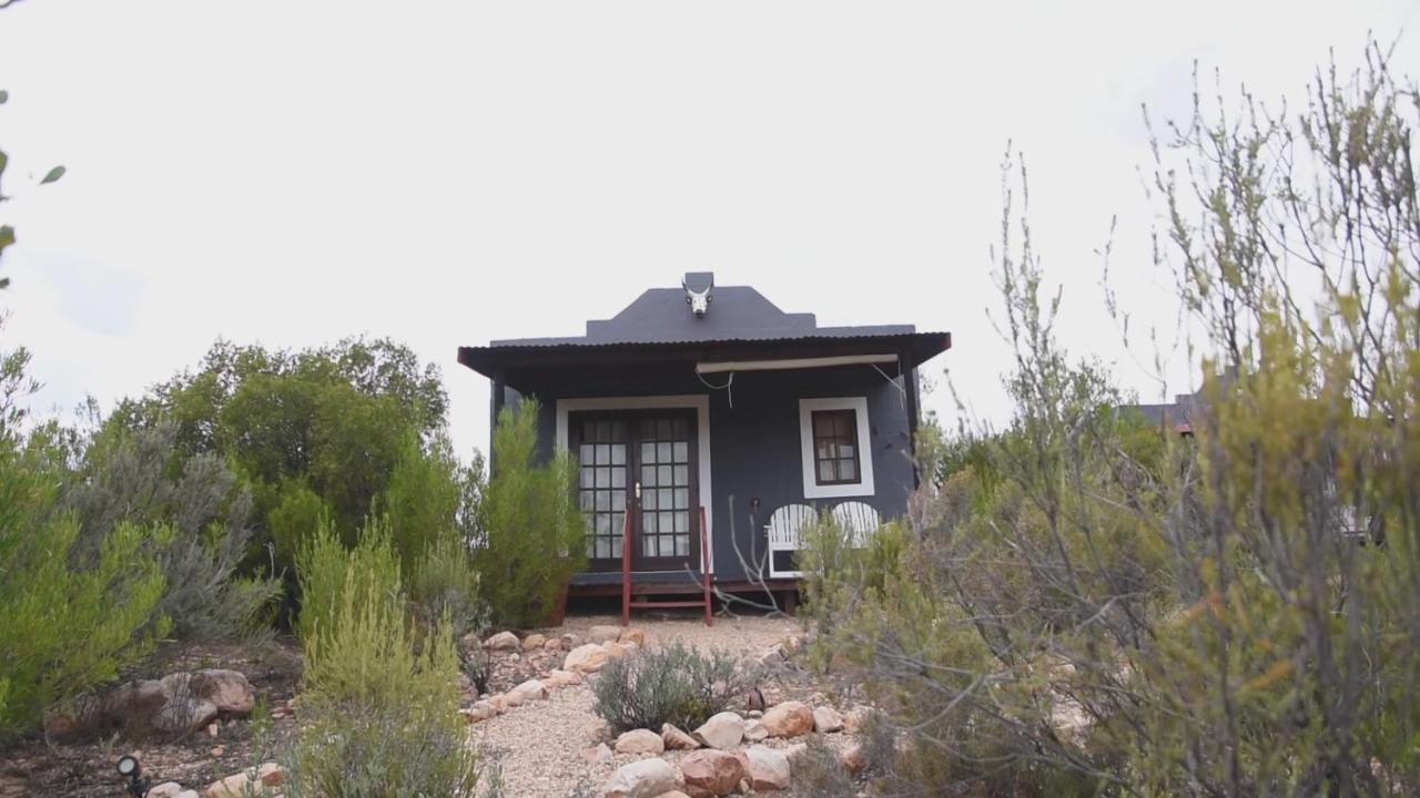 Zwartberg View Mountain Lodge - B&B
