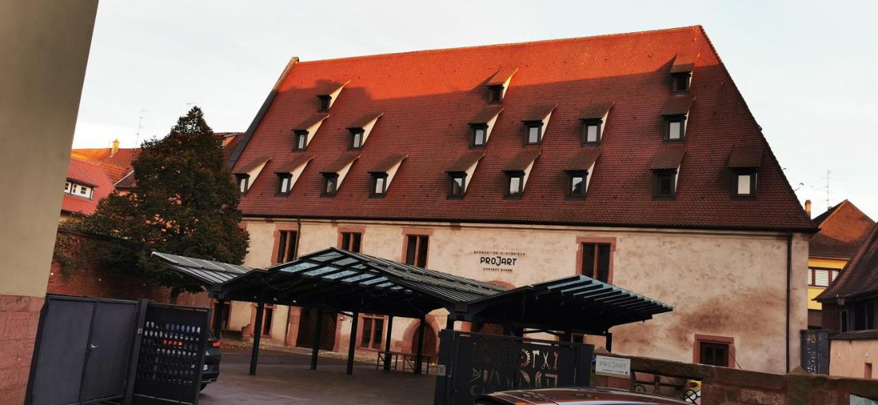 LE RHENANUS Hans Sapidus - appartement spacieux, au calme - parking gratuit - B&B