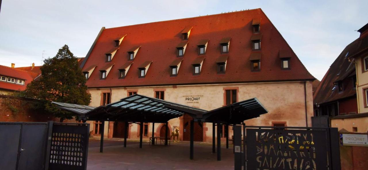 Ludwig Dringenberg Sélestat - Parking gratuit - Proche Europa-Park - Route des Vins - Haut-Koenigsbourg - B&B Sélestat