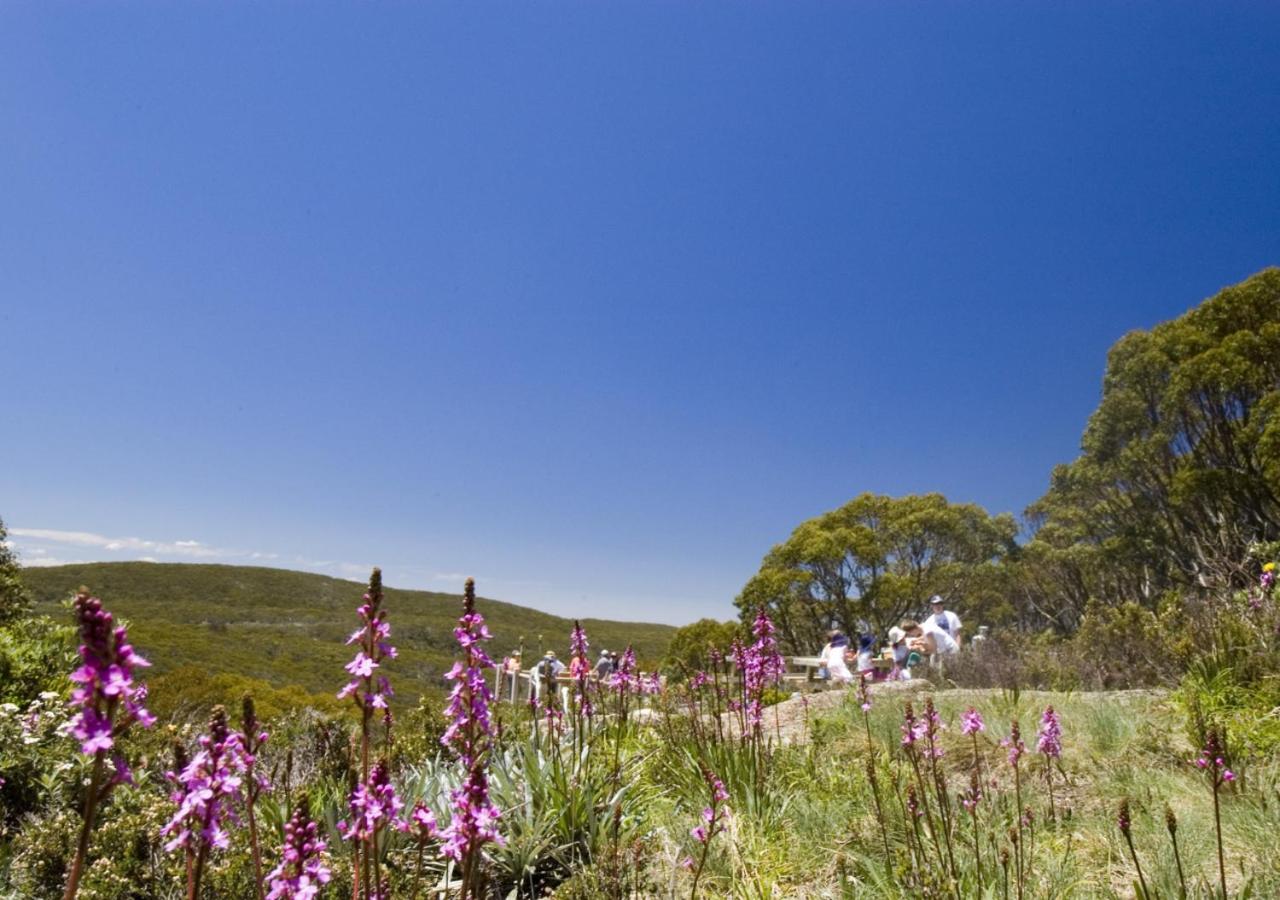 B&B Baw Baw Village - Snow Gum Apartment 2 - Bed and Breakfast Baw Baw Village