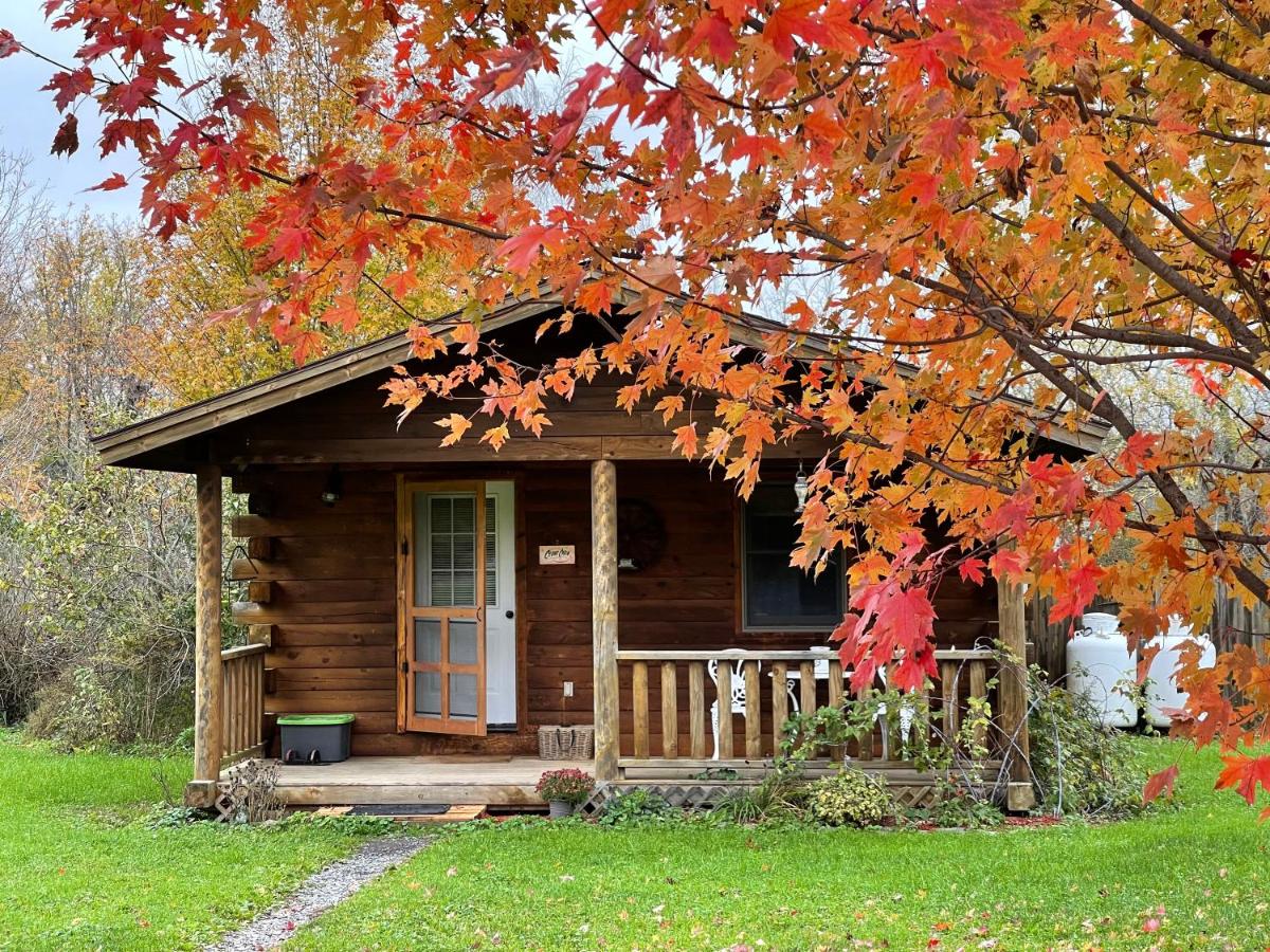 Mill Creek Cabins - Chambres d’hôtes