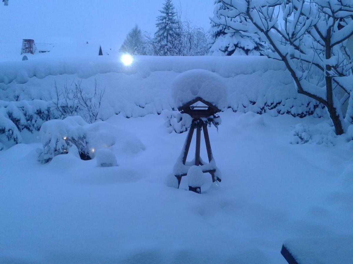 Apartment with Garden View