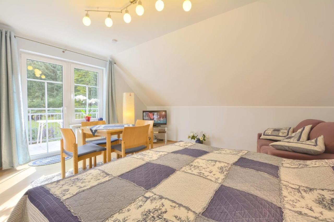 Apartment with Balcony and Kitchenette