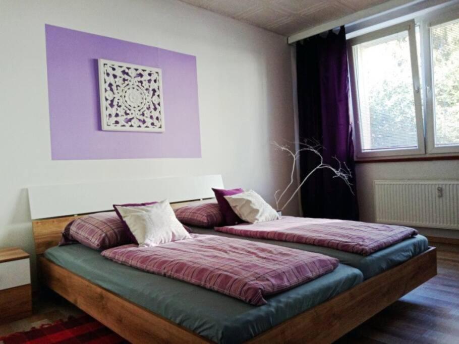 Ubytování Velké Losiny - U PAPÍRNY - Ferienwohnung