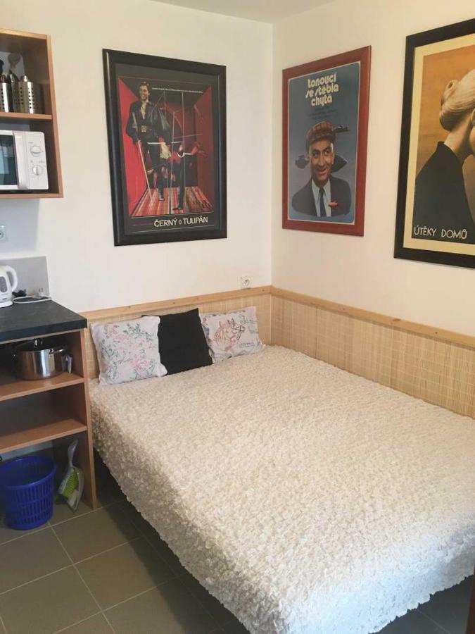 Malé útulné studio s koupelnou a kuchyňkou - B&B Svinařov