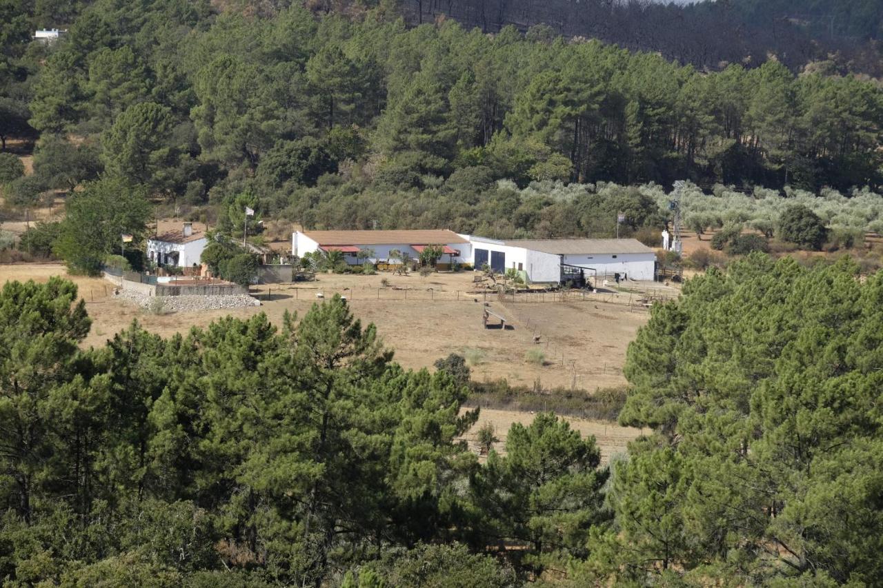 La Tierra Verde COTTAGE - B&B
