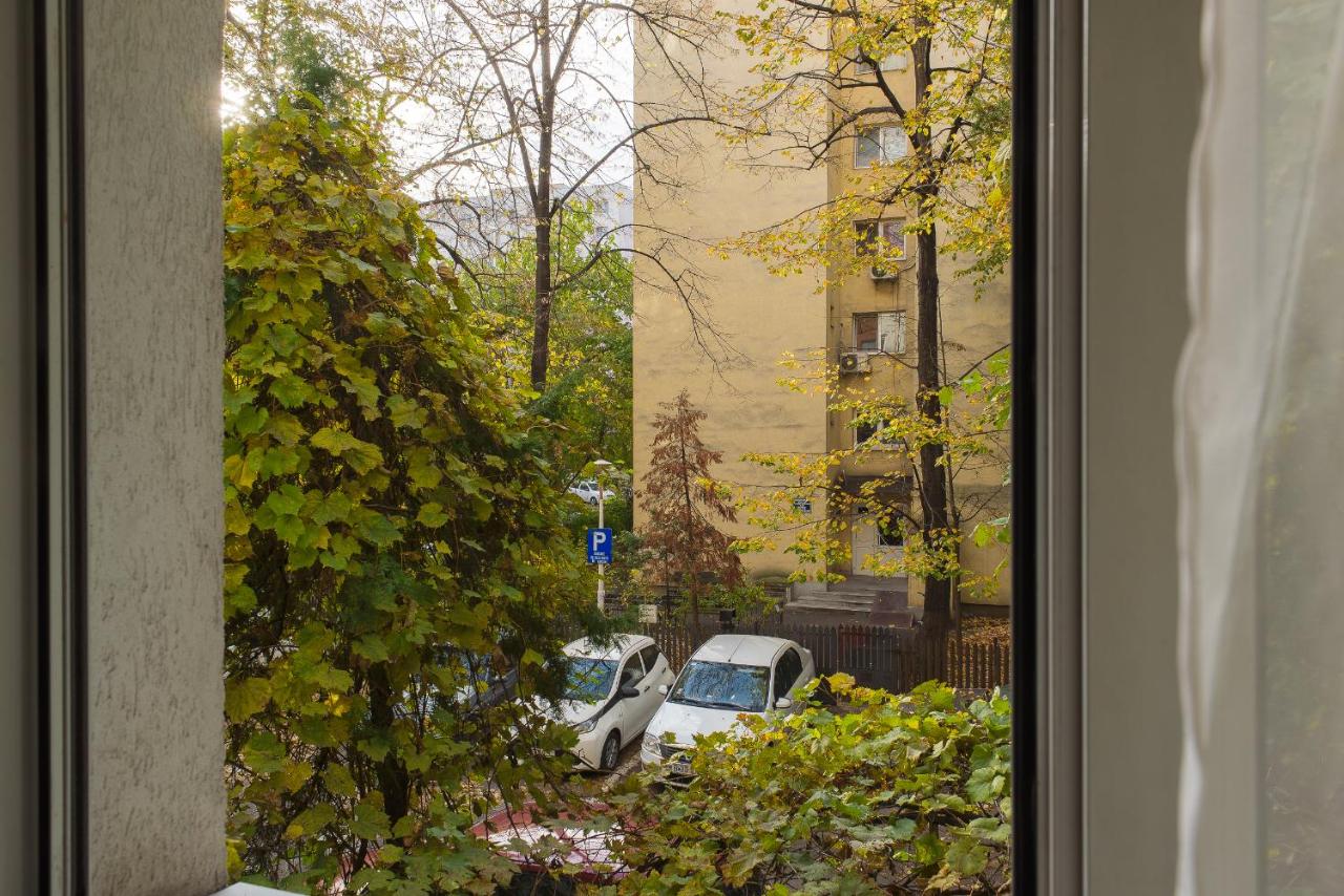 Apartament, Ultracentral, Piata Victoriei - B&B