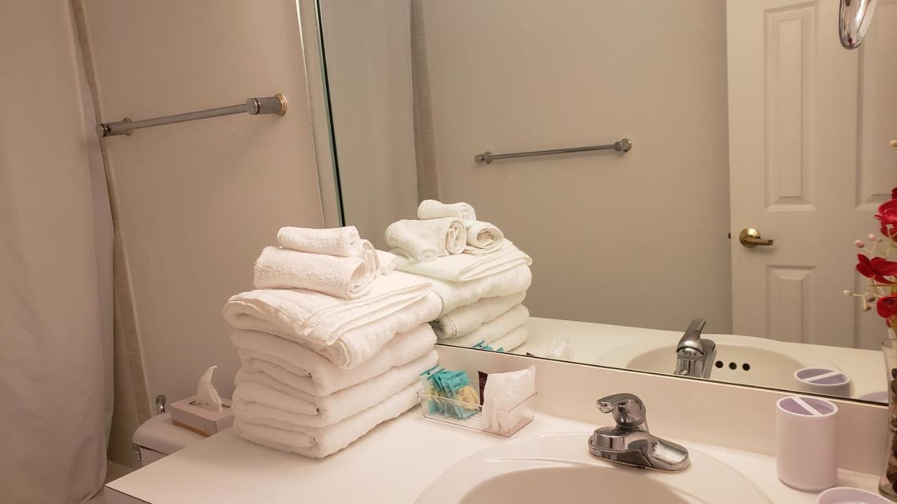 Studio - Vue sur Mer