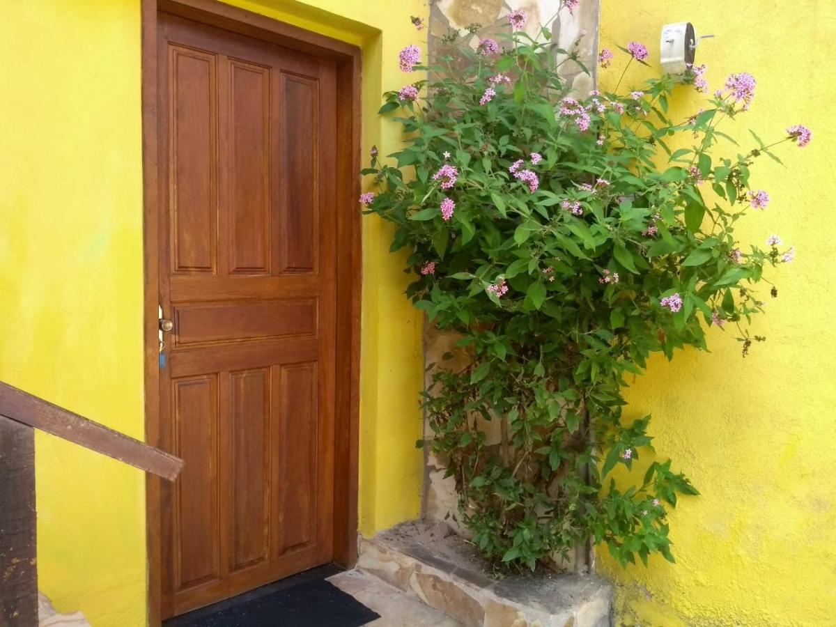 Camera Quadrupla Premium 