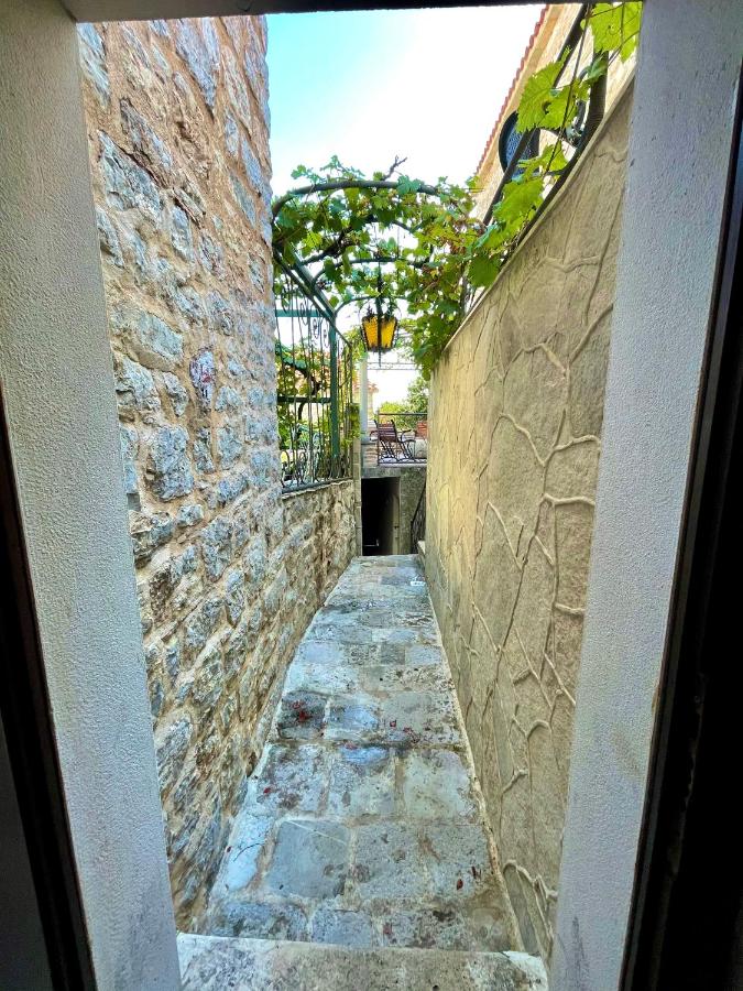Old town house with private garden - B&B