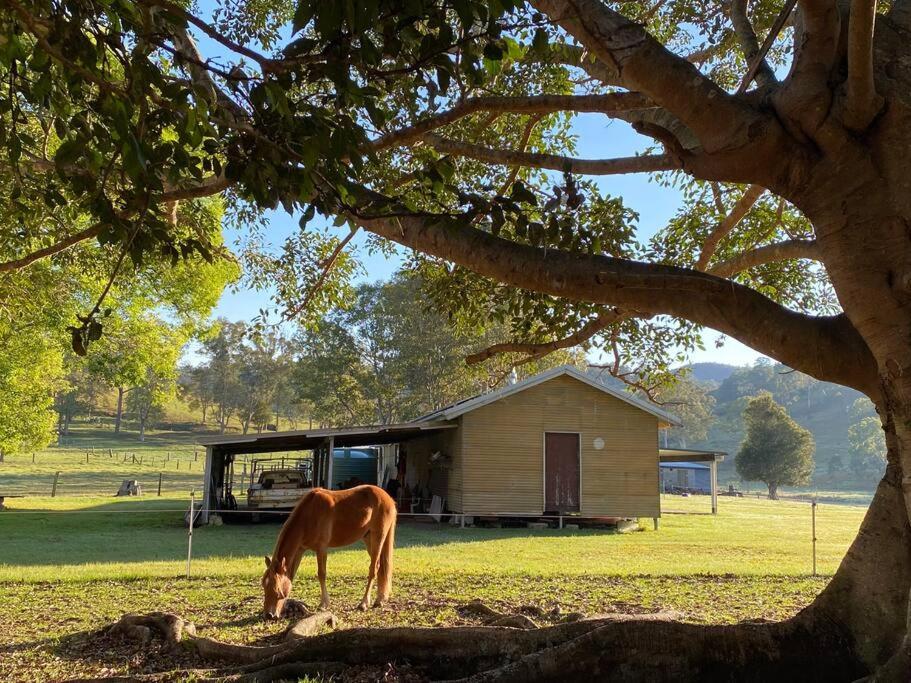 Stay at the Barn... Immerse yourself in nature. - B&B Kenilworth