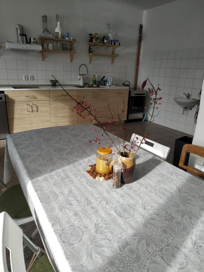 Apartmán v Anenském údolí - B&B