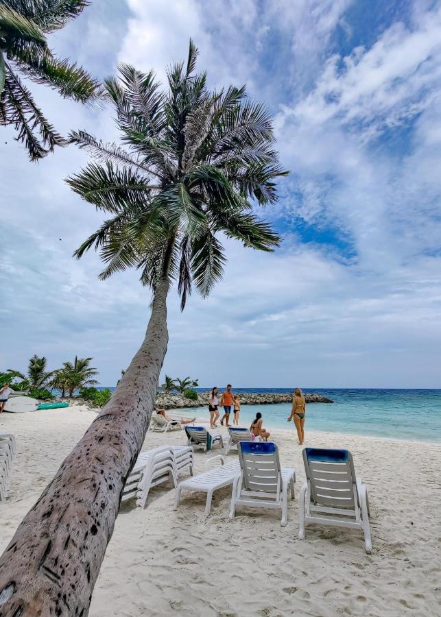 B&B Maafushi - Pelican Beach Maafushi - Bed and Breakfast Maafushi