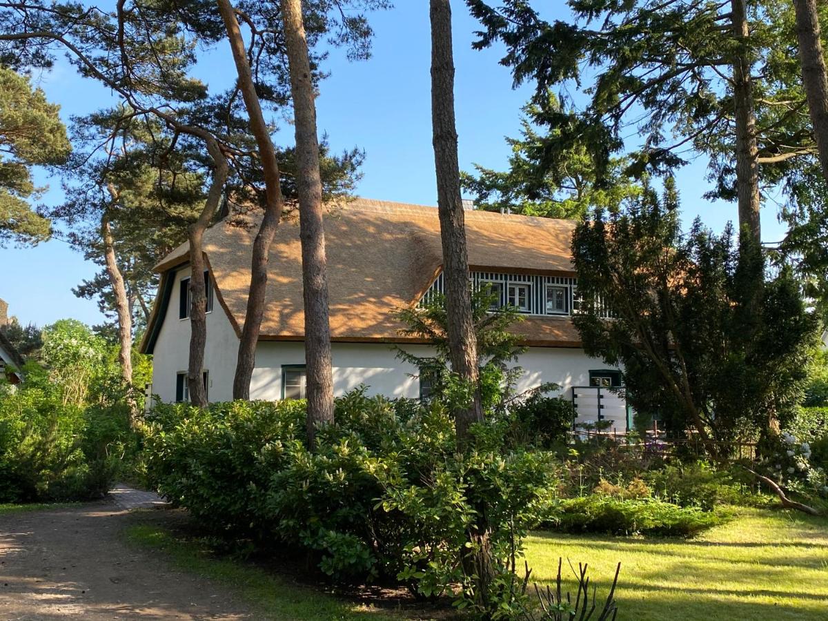 Strandhaus Düne 19 - Glück - Ferienwohnung Neuhaus