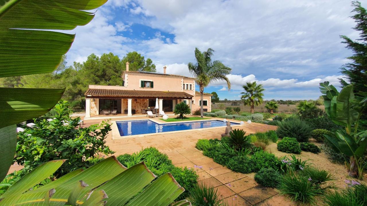 Finca Son Amal - B&B Algaida