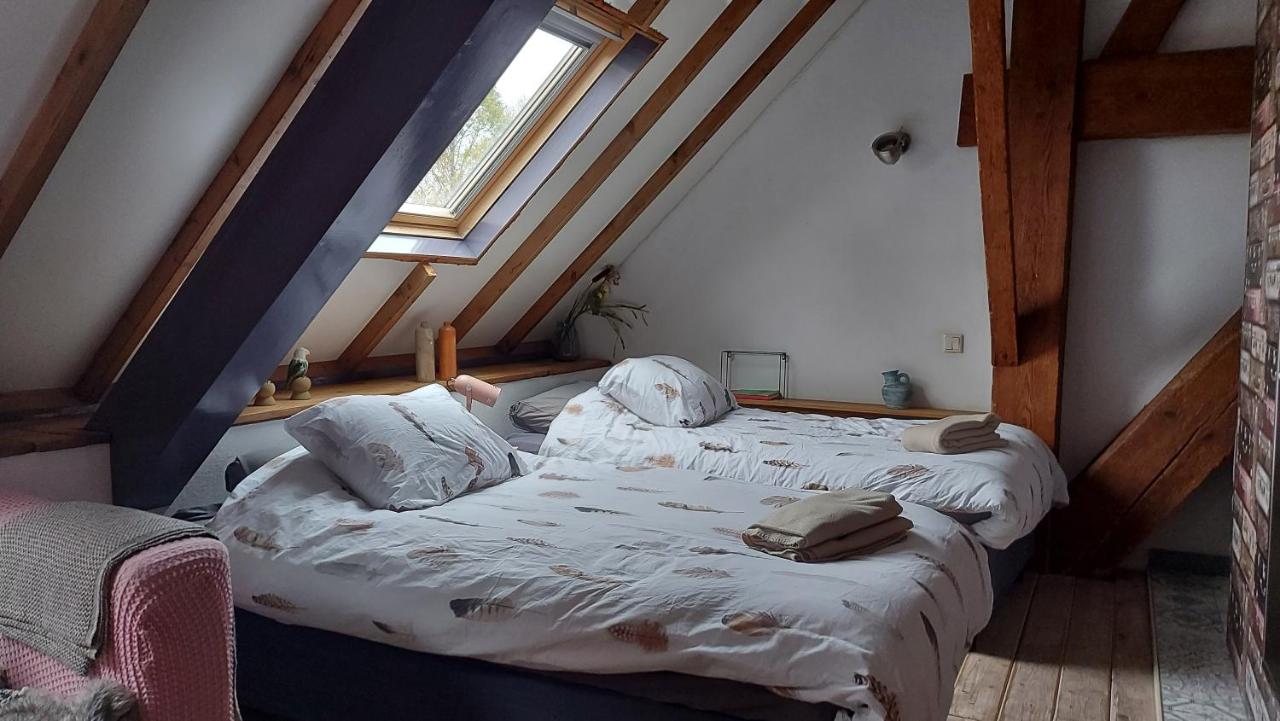 Budget Twin Room