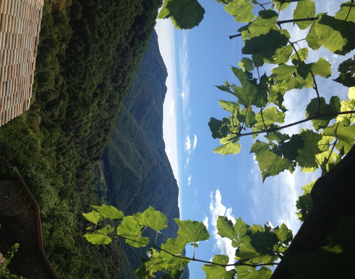 Double Room - "Estancot-3"