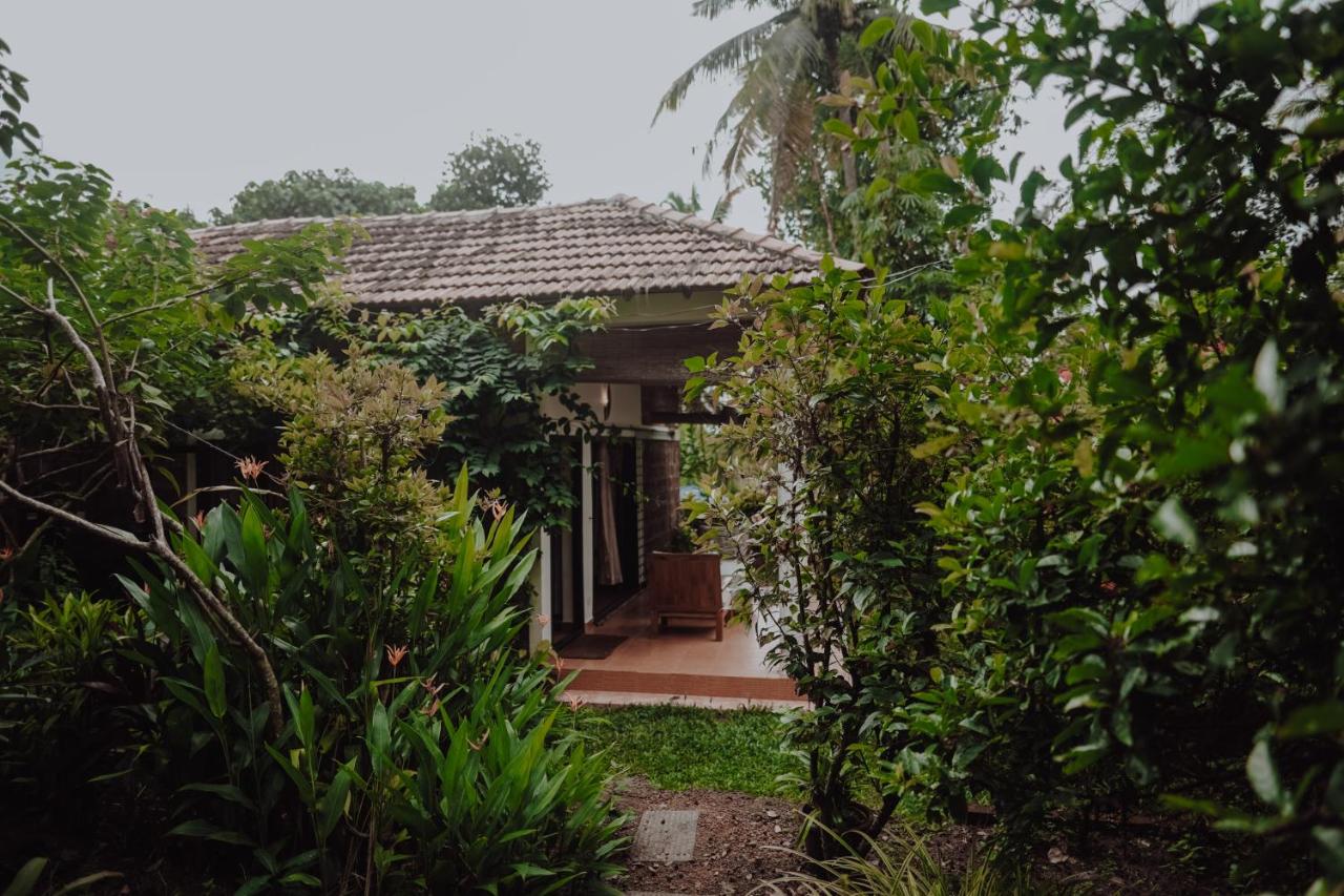 Double Room with Patio