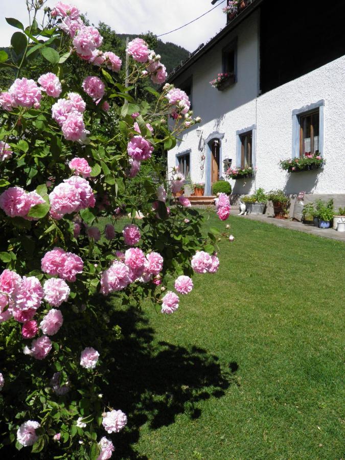 Haus Hanshois - Bed and Breakfast