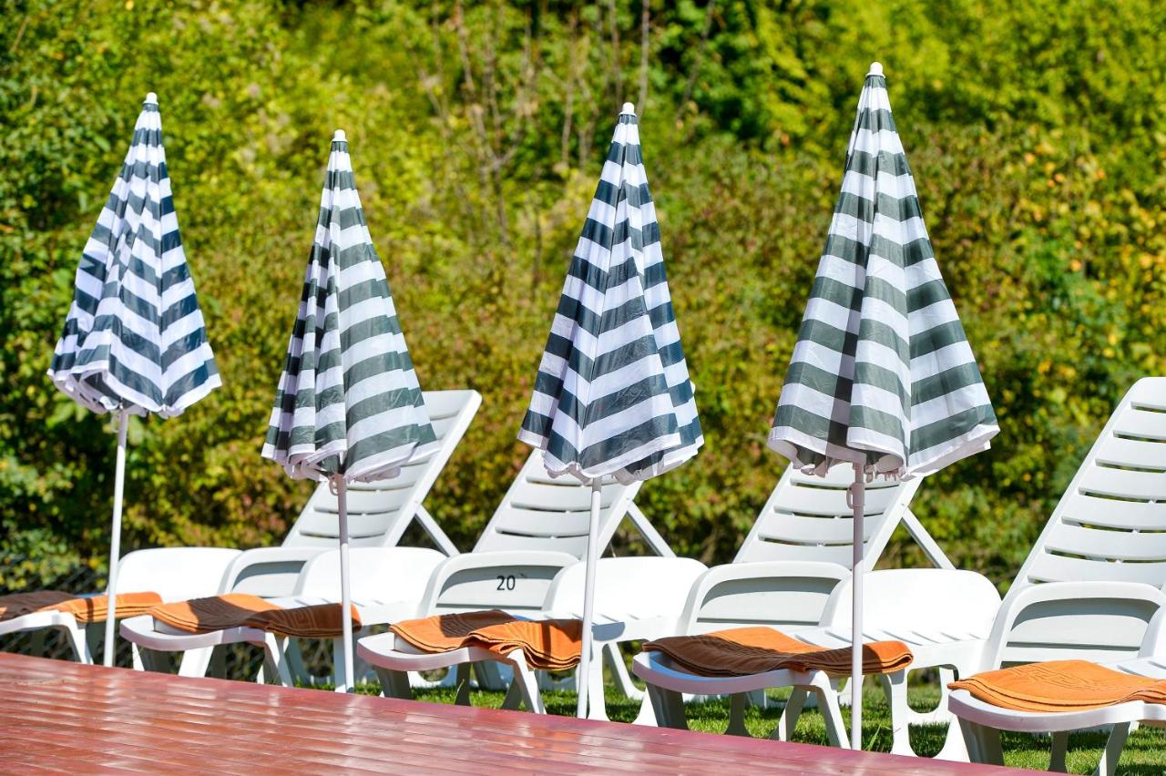 Jungle House with private pool and hot tub - Ferienwohnung Sveti Ivan Zelina