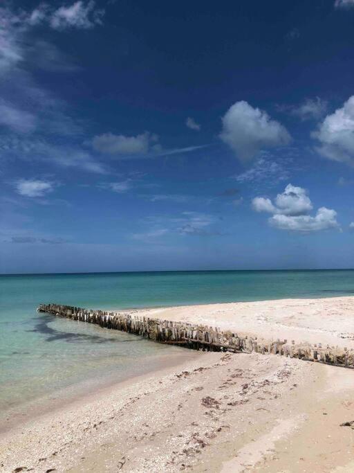 Casa para descansar y disfrutar la vida en el mar - B&B Chuburná