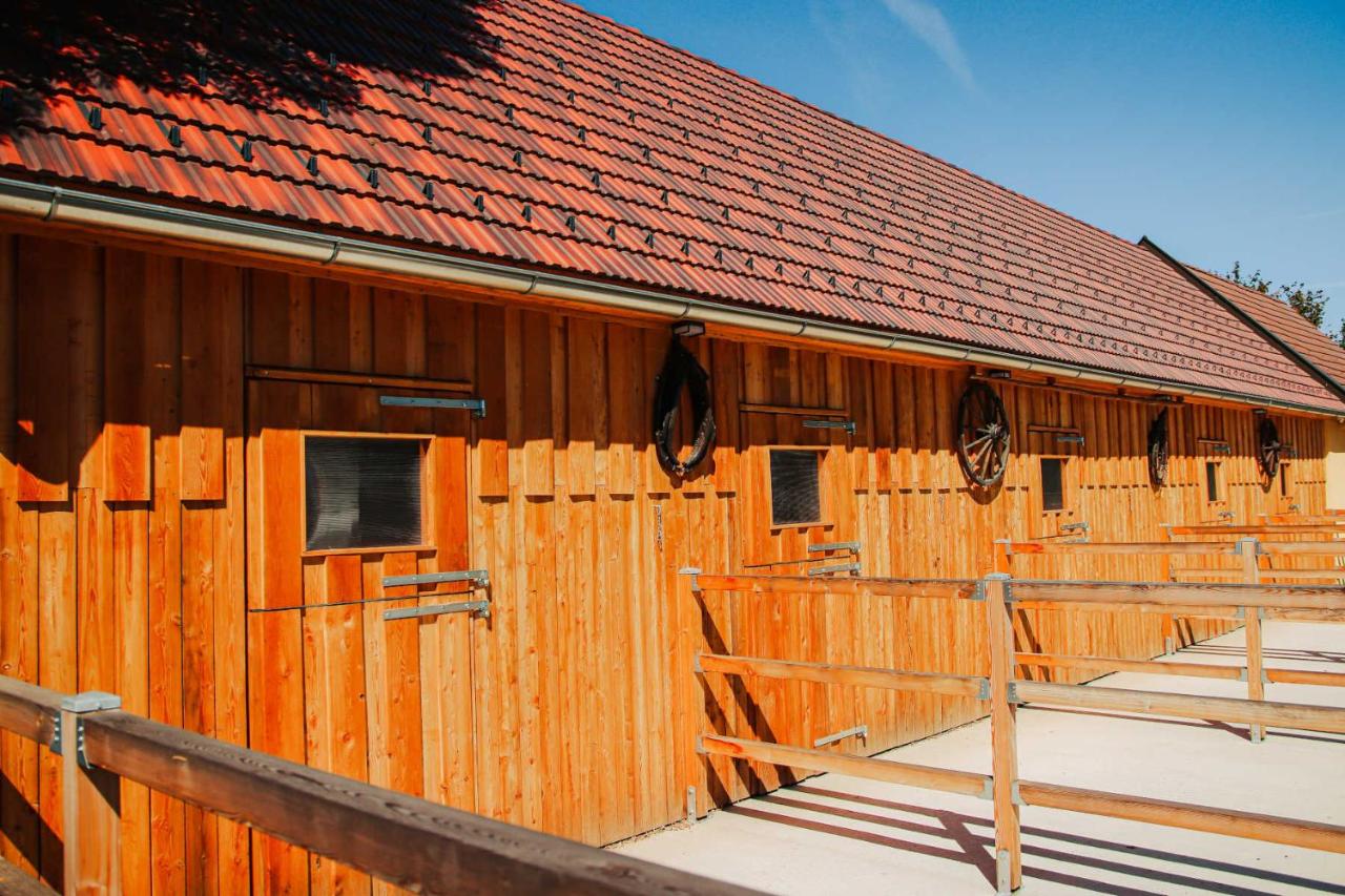 AMD Chalet - B&B