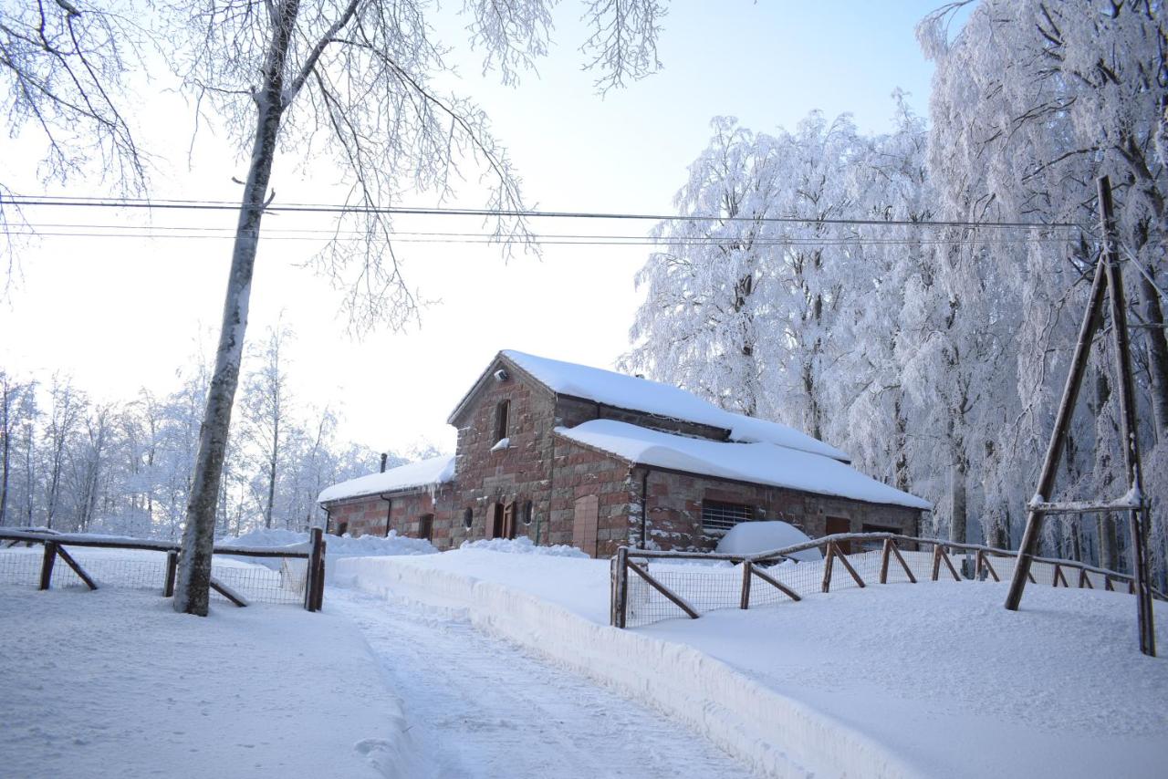 B&B Castel del Piano - Chalet Vecchio Rifugio - Monte Amiata - Bed and Breakfast Castel del Piano