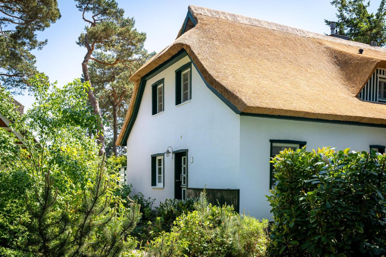 Strandhaus Düne 19 - Freude - Chambres d’hôtes