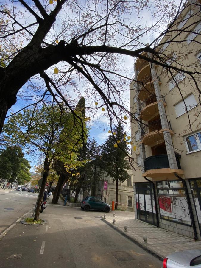 Apartment Andrea - B&B