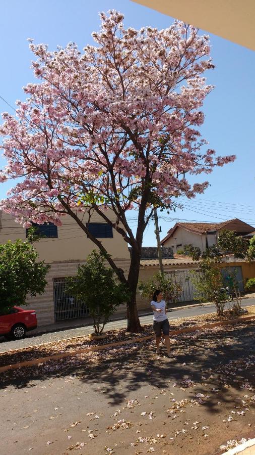 Hostel casa 1 - Bed and Breakfast