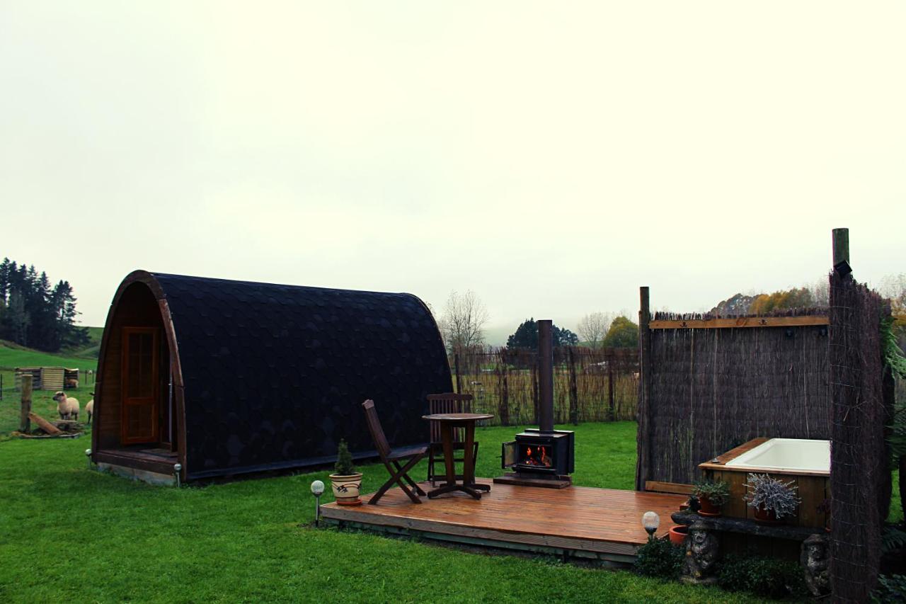 Farm Therapy- Farm Stay & Digital Detox Retreat - Chambres d’hôtes Tapawera