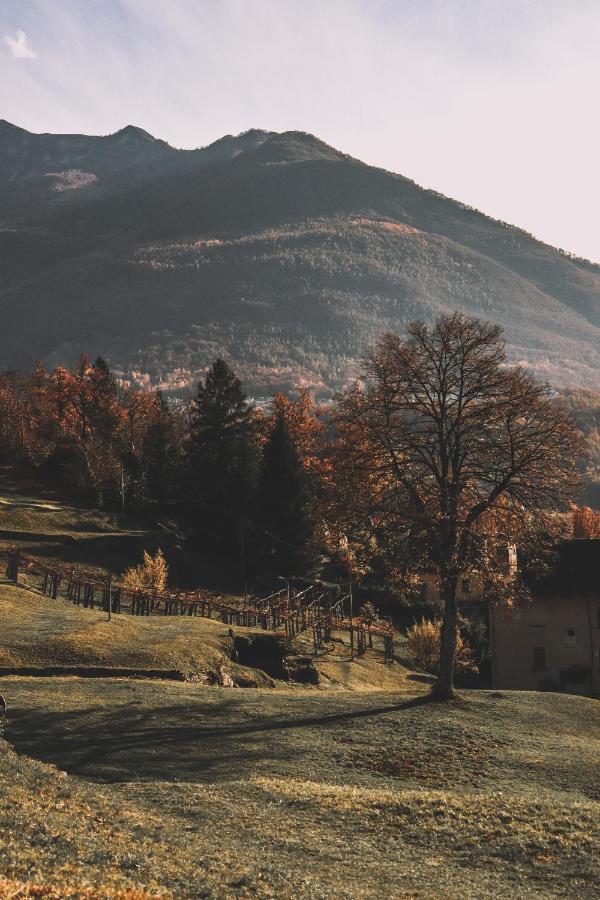 Casa Brencio - B&B Masera
