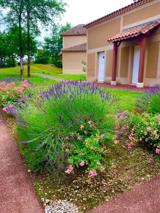 Appartement dans joli village de vacances 47150 - B&B