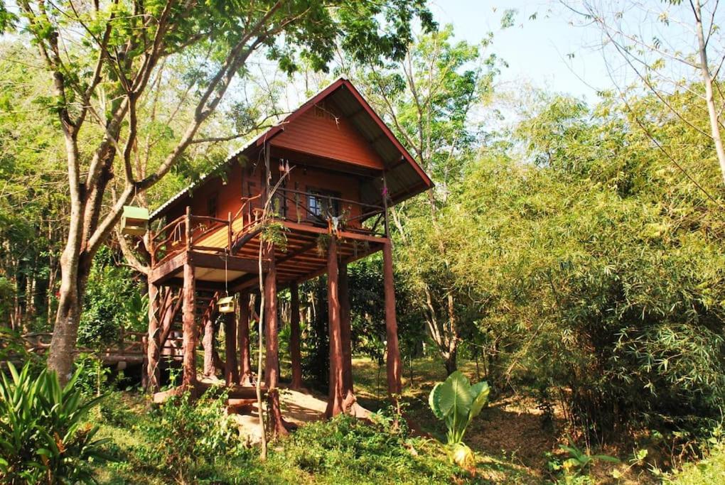 Treehouse Holidays-Lake View - Bed and Breakfast