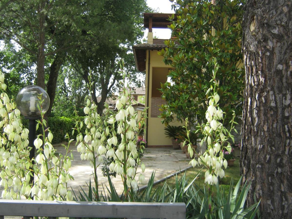 B&B Il Borgodmd - B&B Rivotorto
