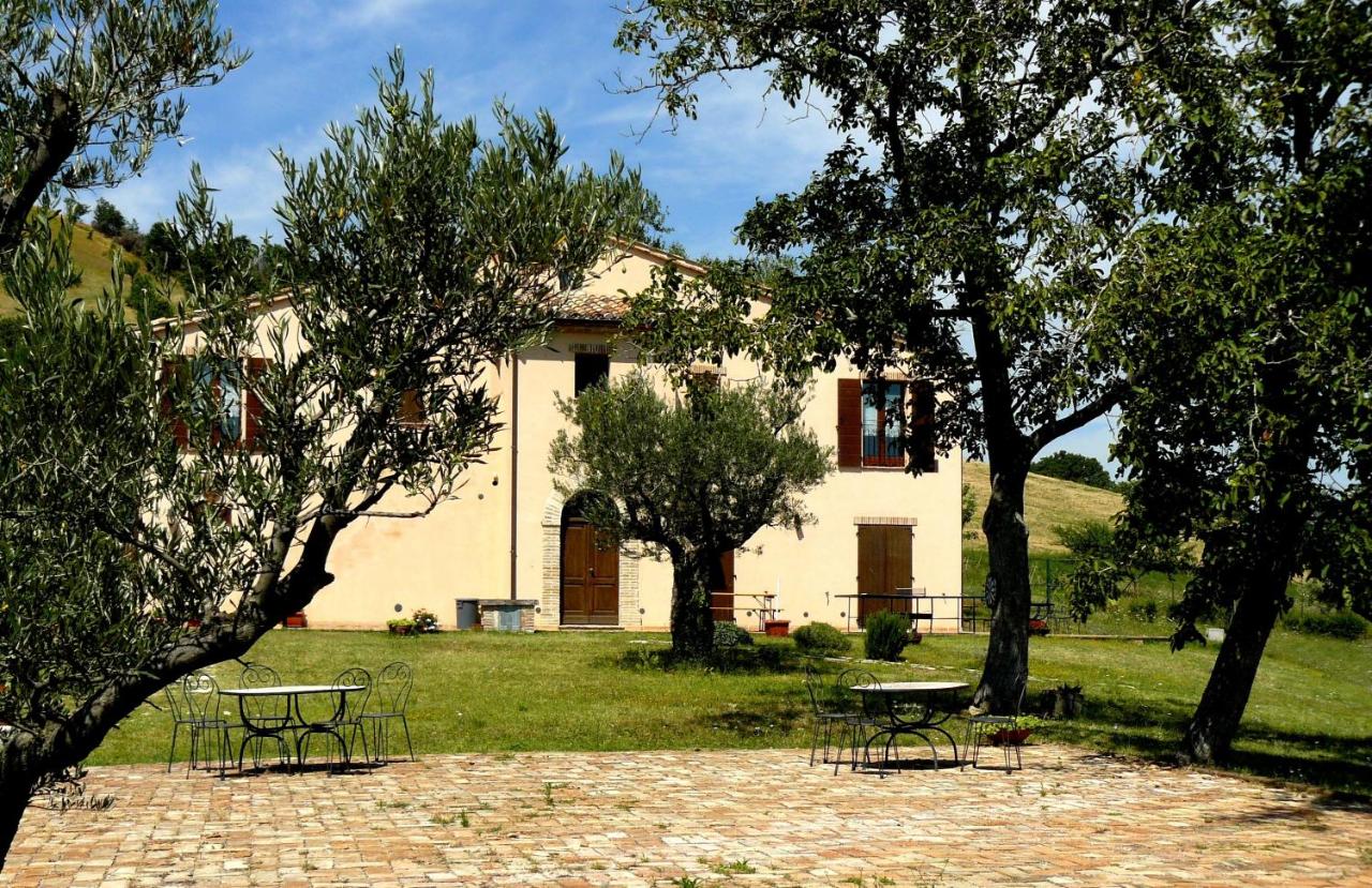Santa Maria del Gallo - B&B Apiro