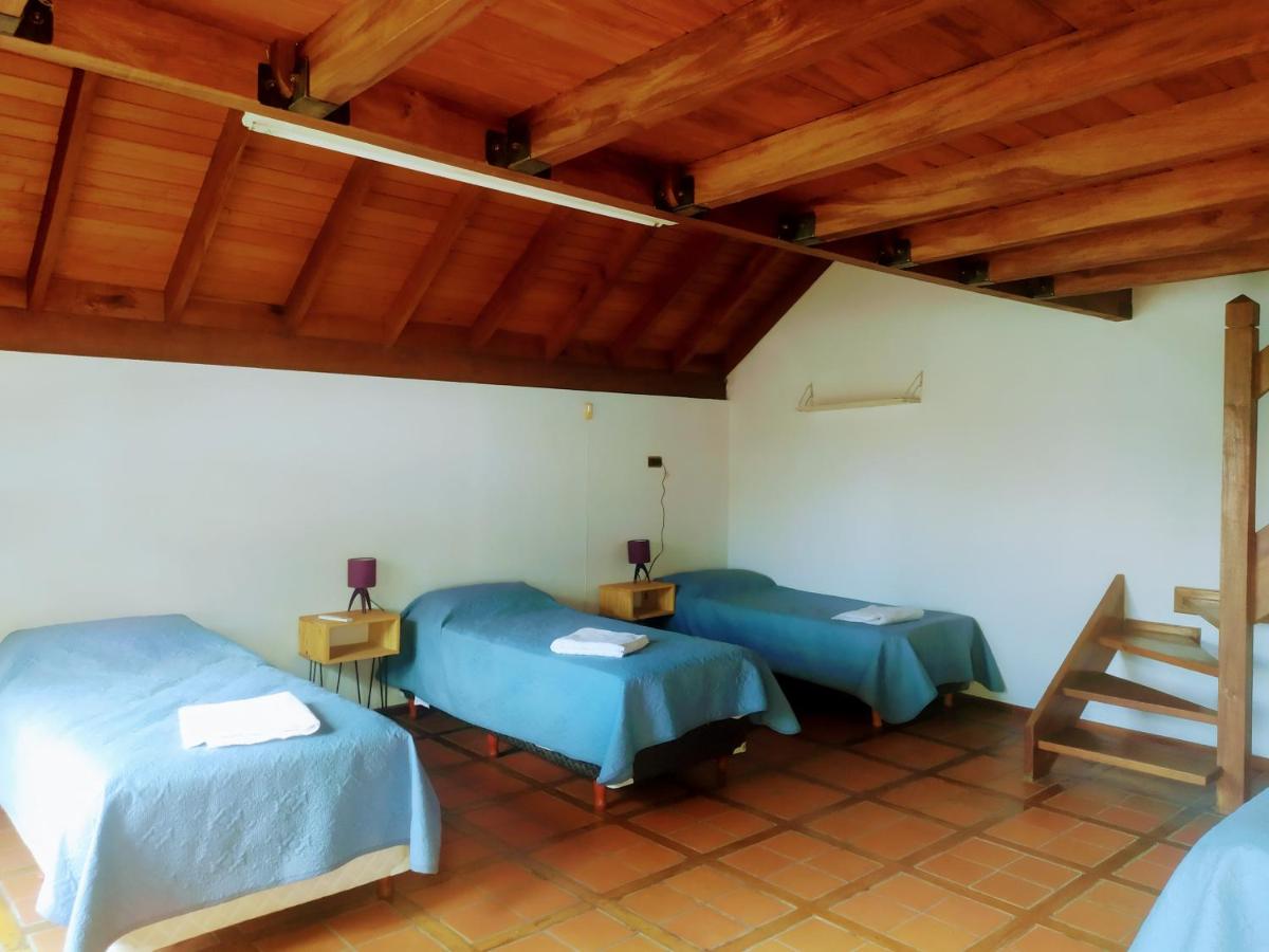 Bed in 6-Bed Mixed Dormitory Room