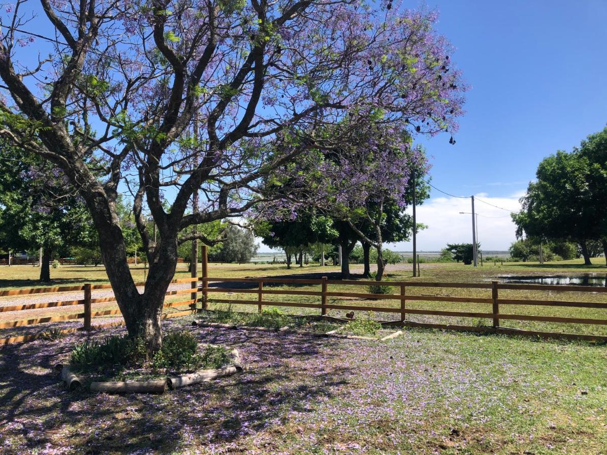 Casa de campo DON ANTONIO - Bed and Breakfast San Pedro