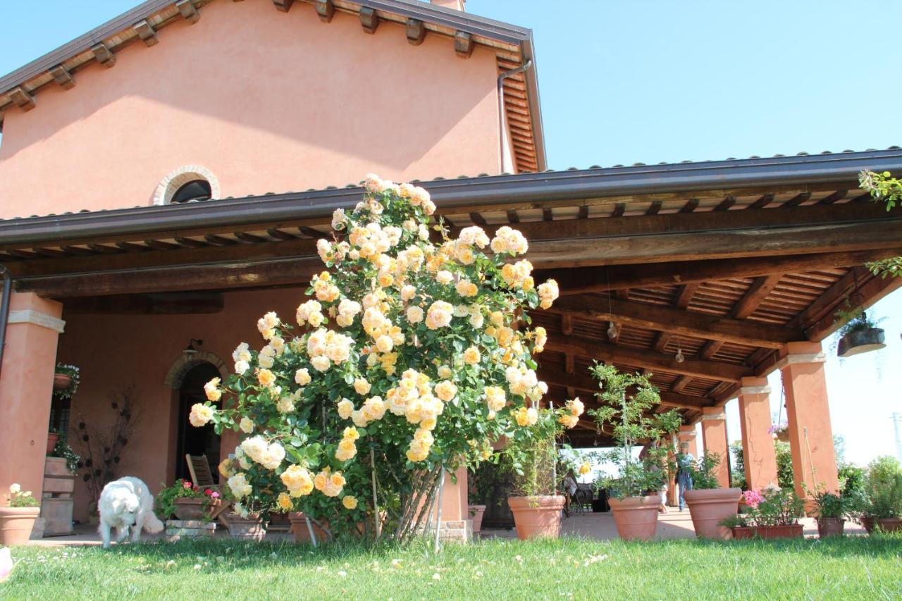 La Fornasaccia - B&B