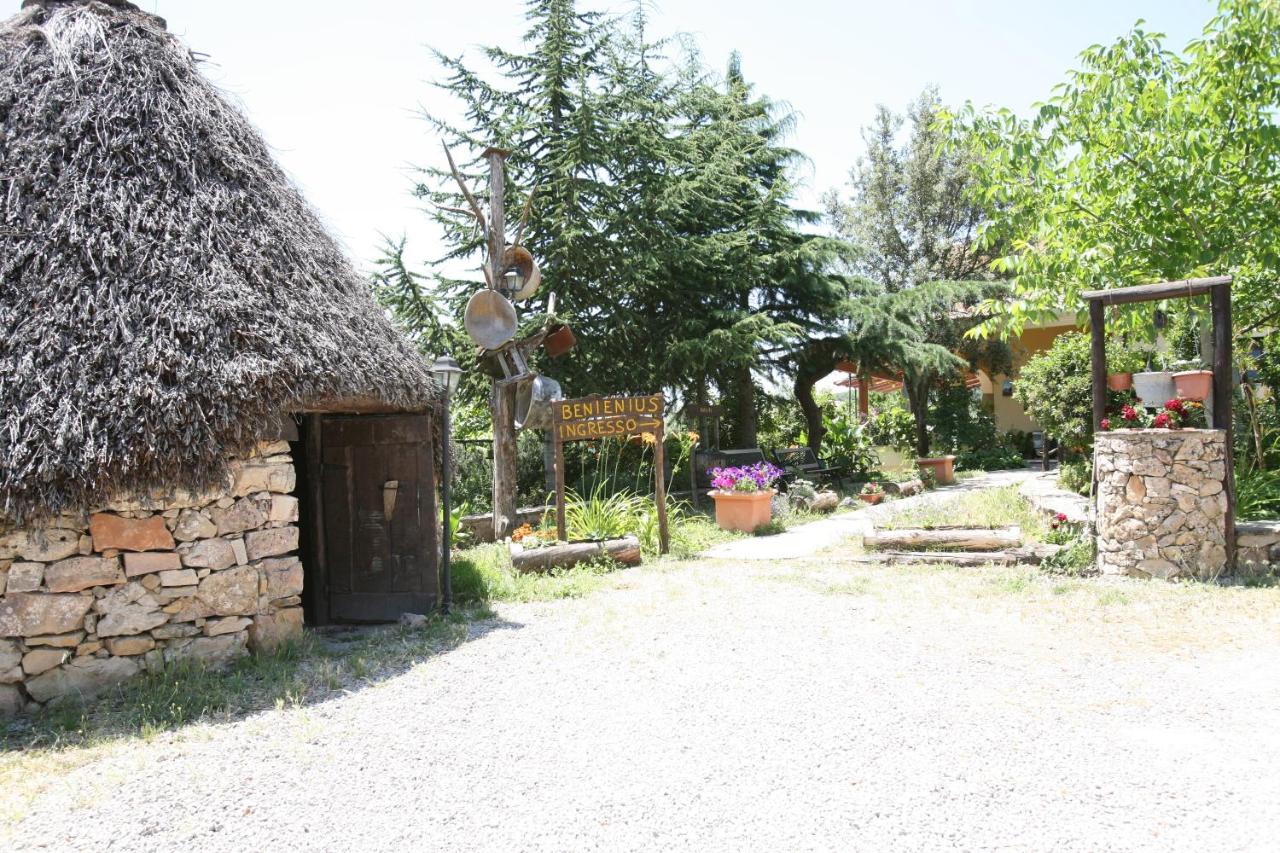 Agriturismo Ticci - B&B