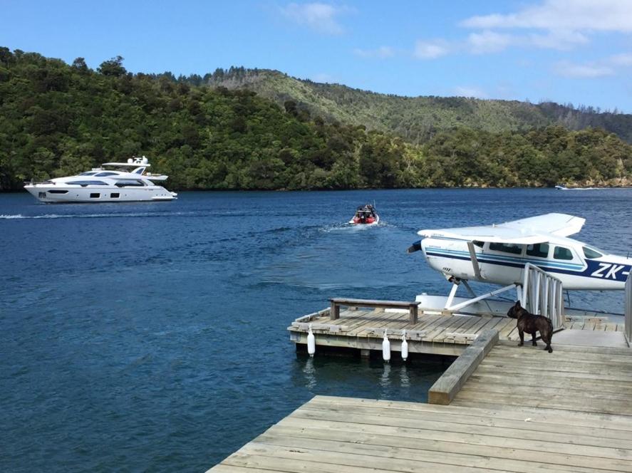 Waterfall Bay Glass House - B&B Picton