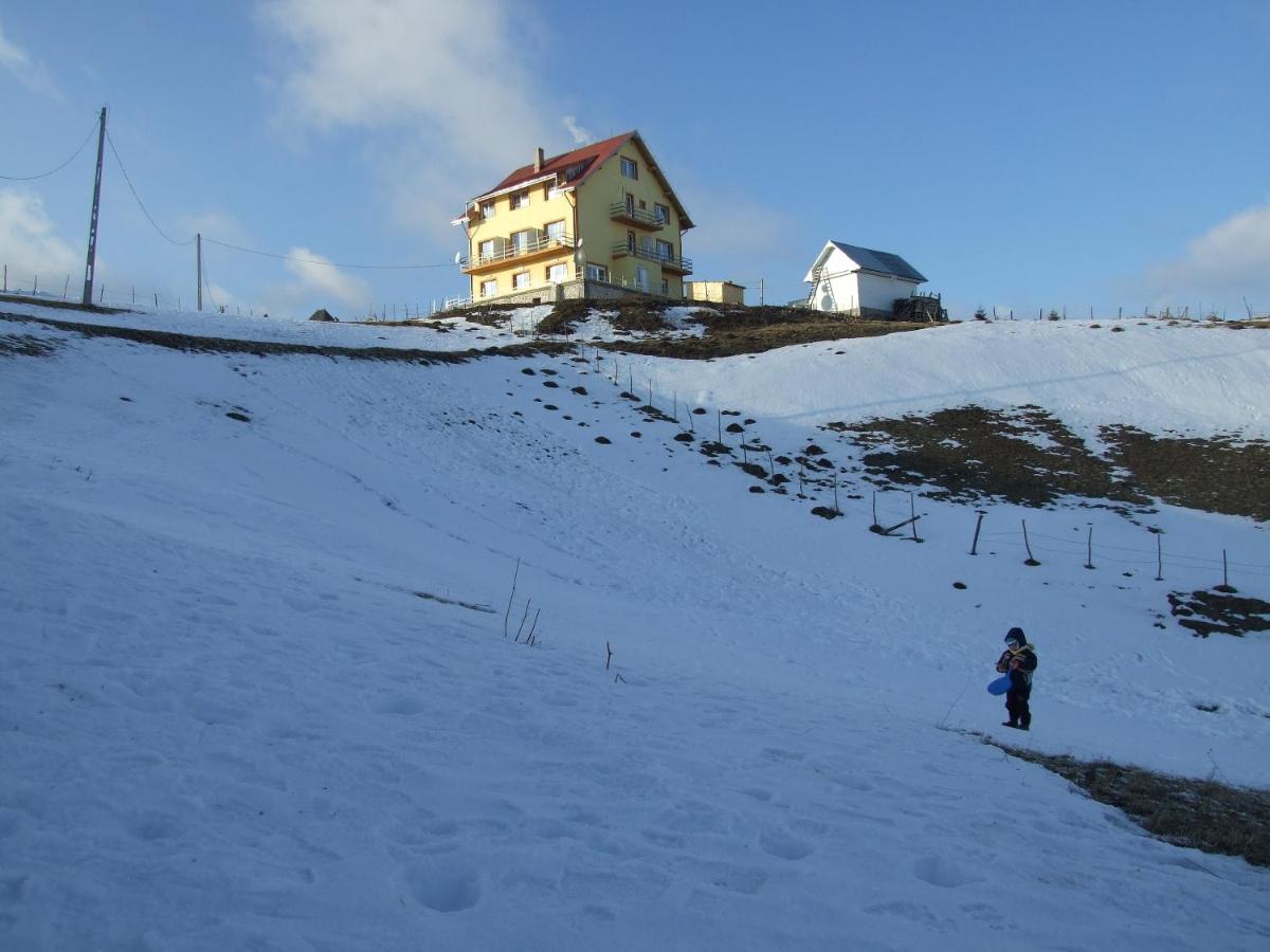 Pensiunea Pui de Urs Sirnea - B&B Fundata