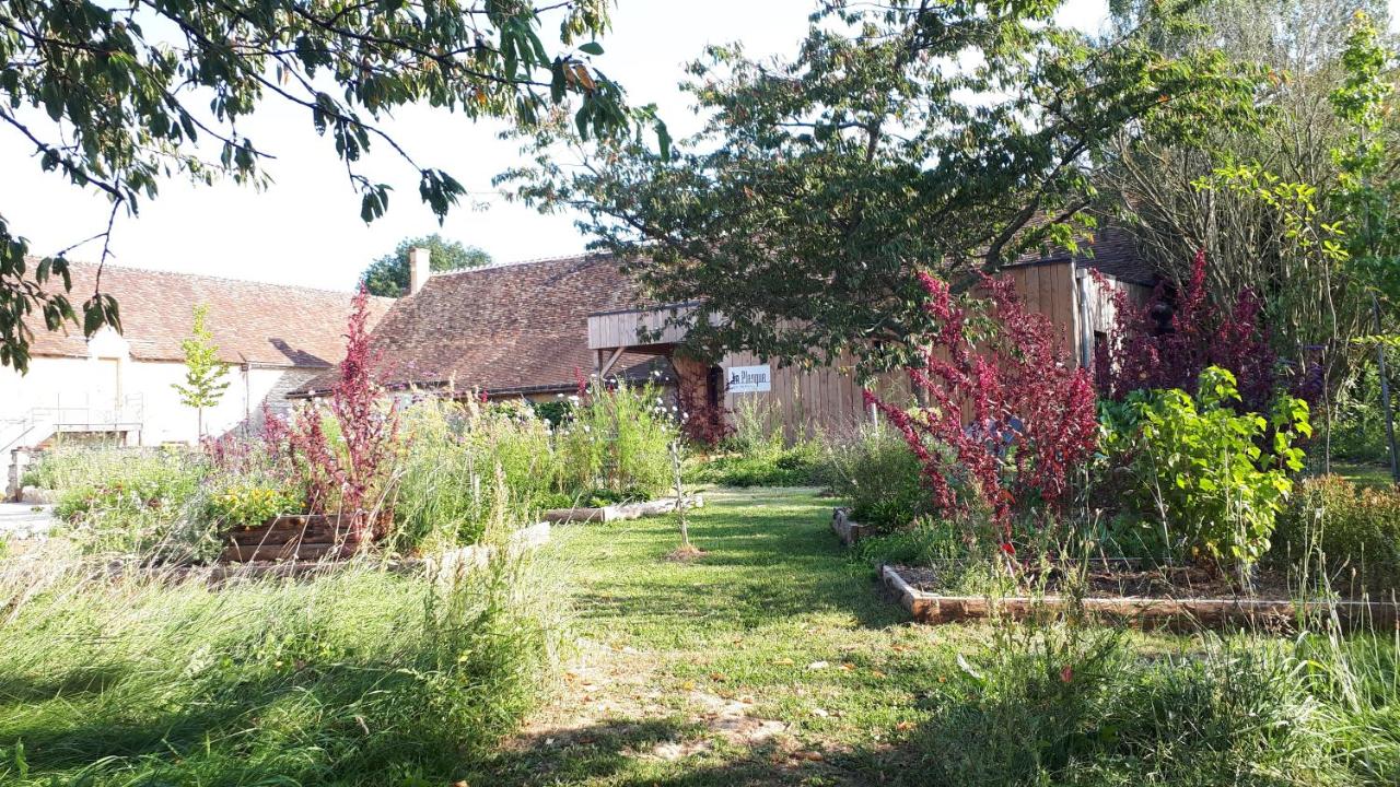 Camera King con Vista Giardino