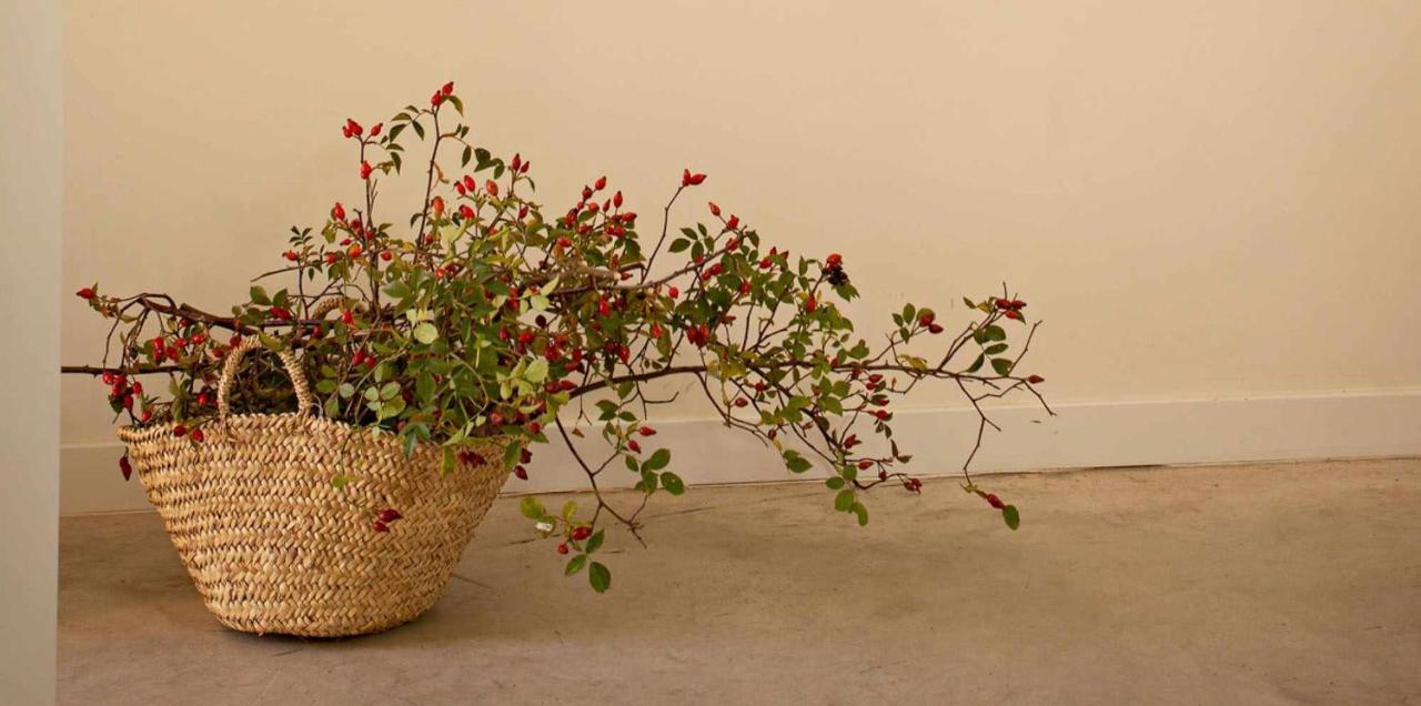 El Balcón de Tenzuela - B&B Segovia