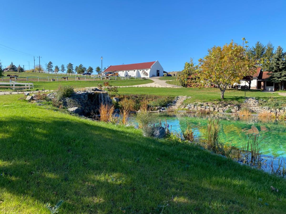 B&B Zánka - Tenger-szem Panzió és Lovasudvar - Bed and Breakfast Zánka