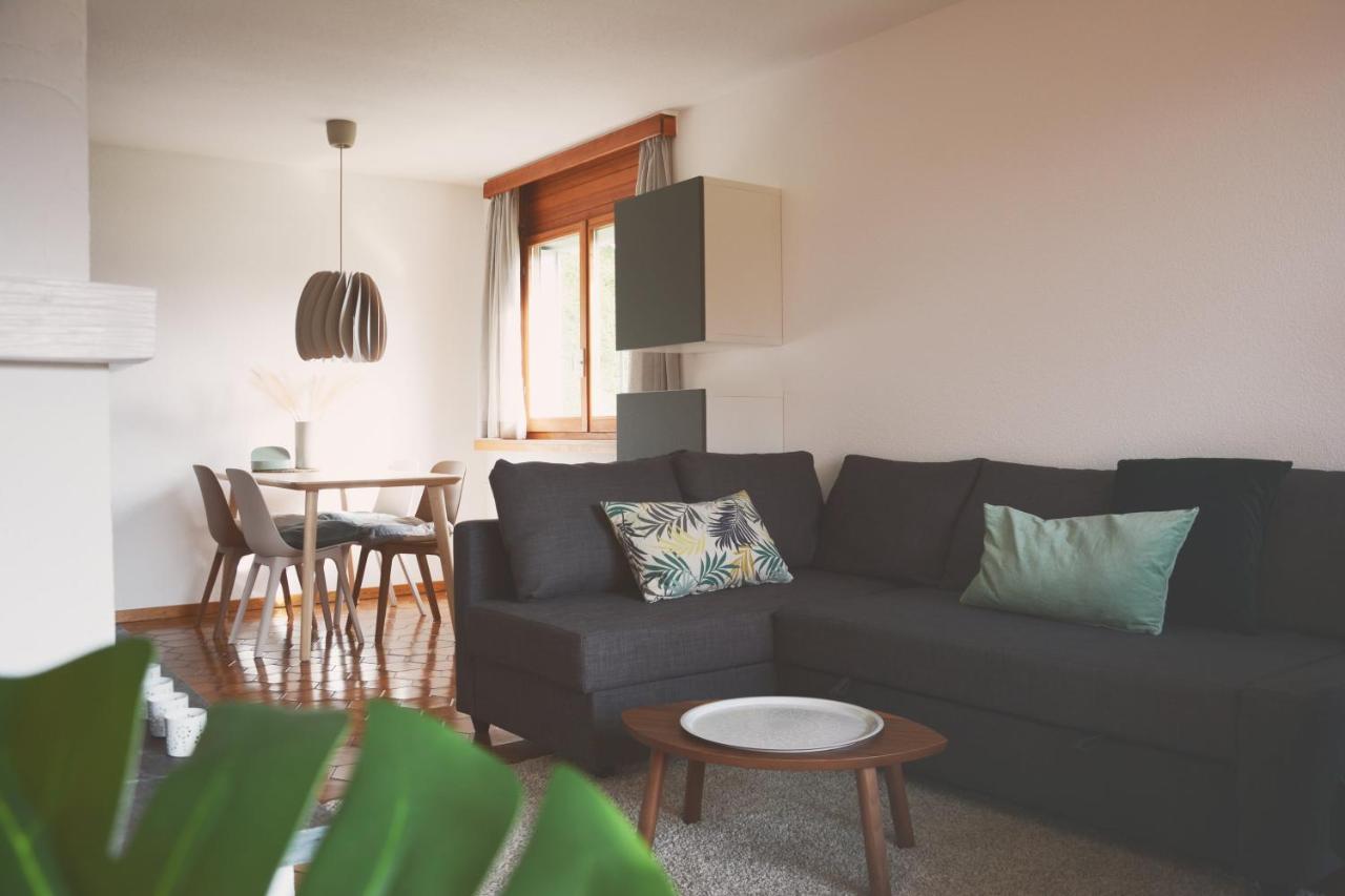 Roc d'Orsay F72 - Ferienwohnung Leysin