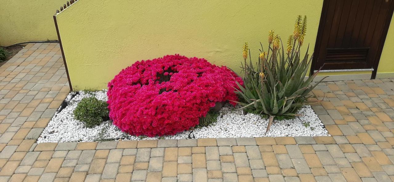 Nonna Defenza - B&B Teulada