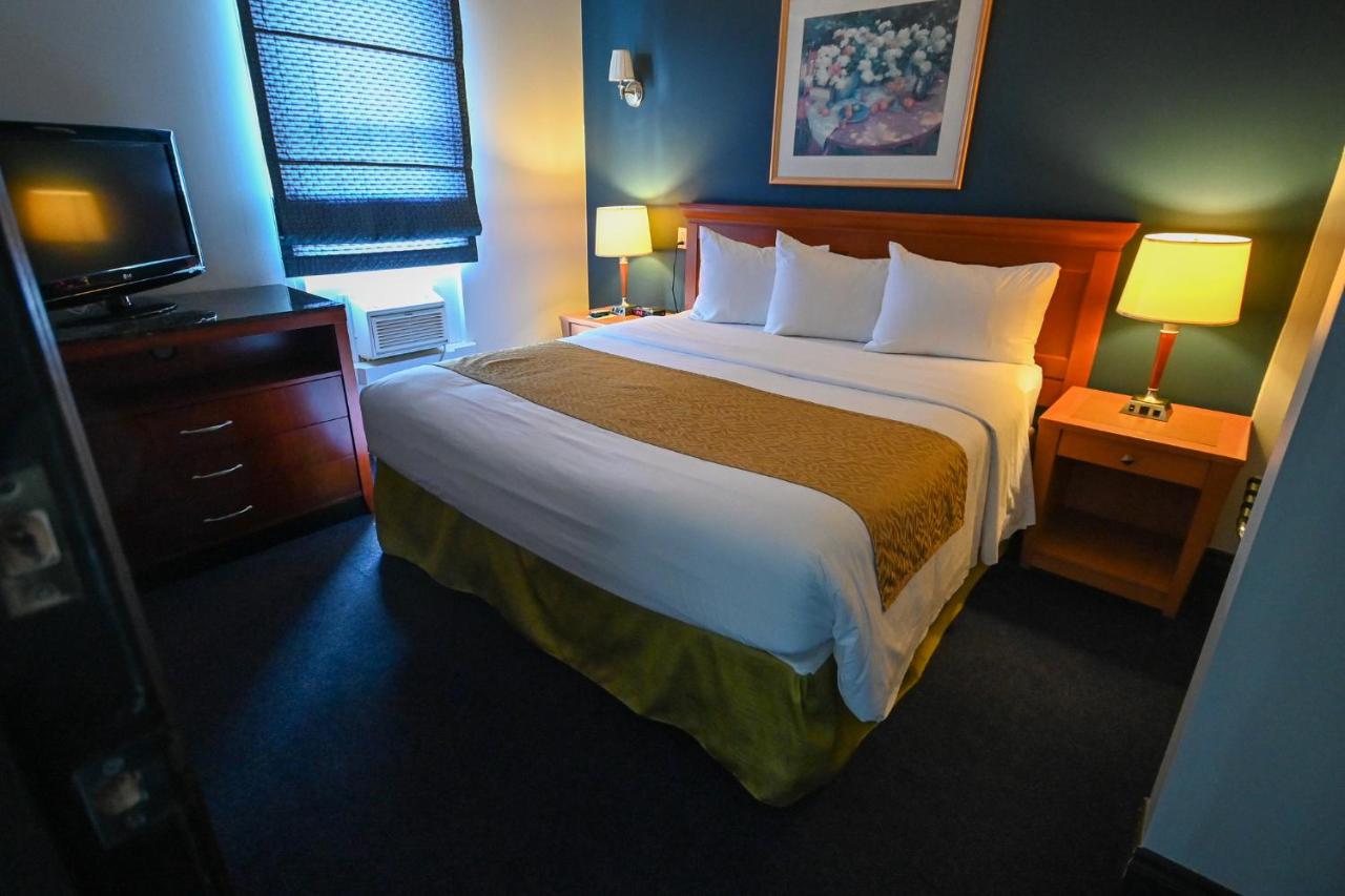 Room with One King Bed and Sofa Bed