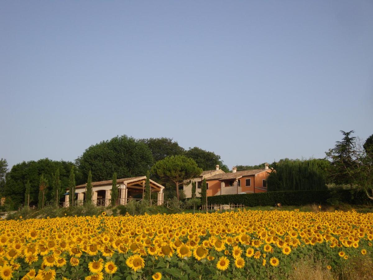 B&B Camerano - Rustico del Conero - Bed and Breakfast Camerano